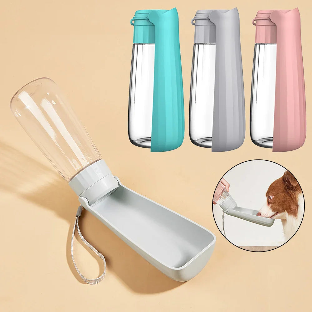 Water bottle for dogs and cats