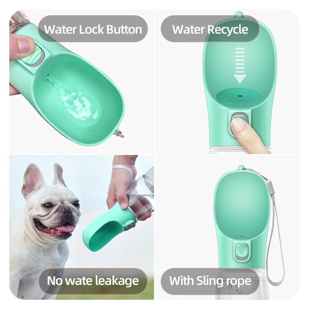 Water bottle for dogs and cats