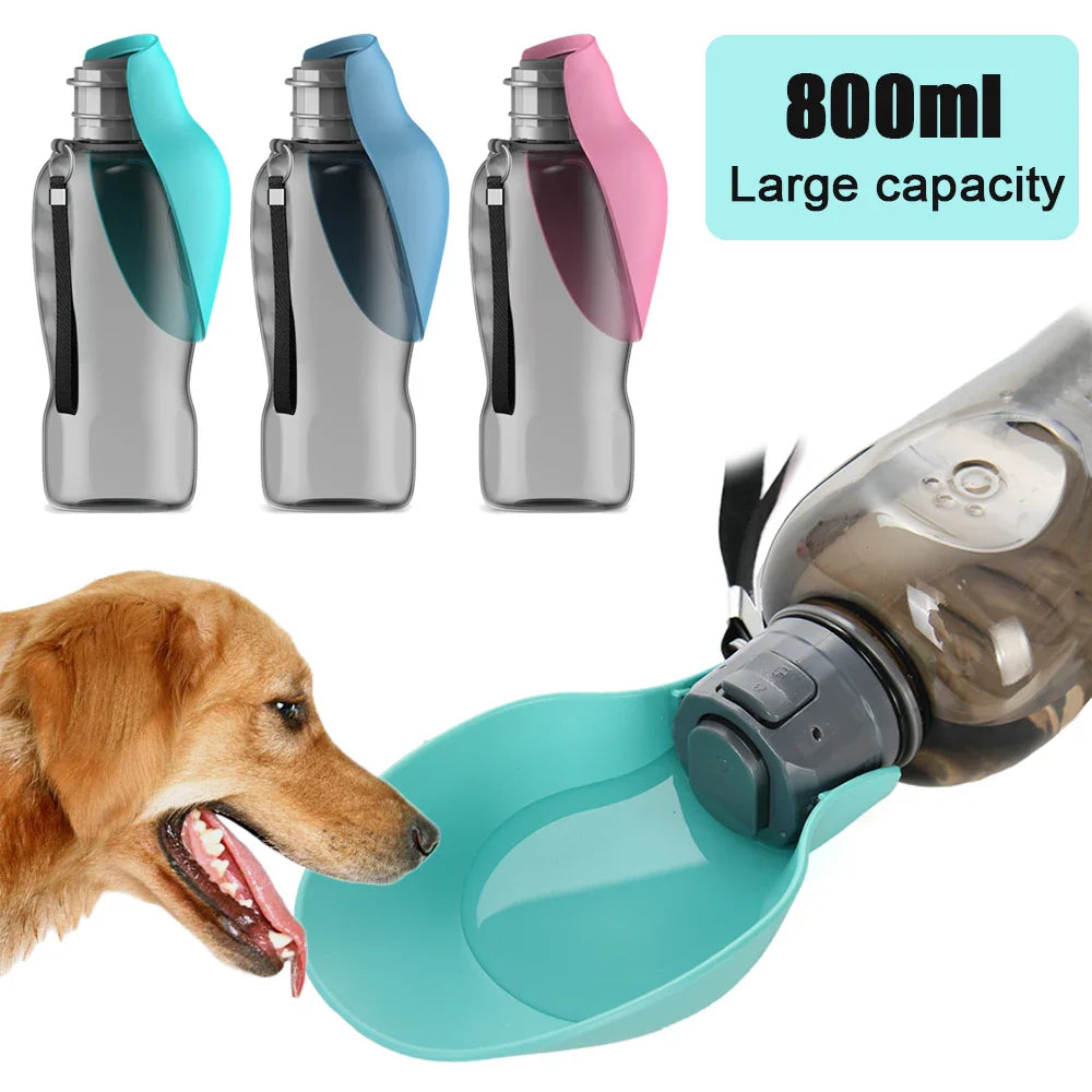 Water bottle for dogs and cats