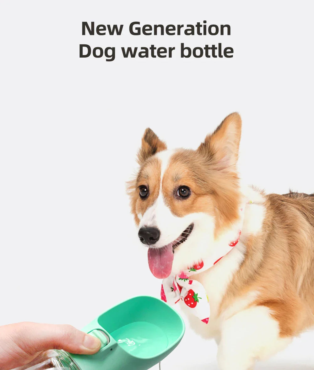 Water bottle for dogs and cats