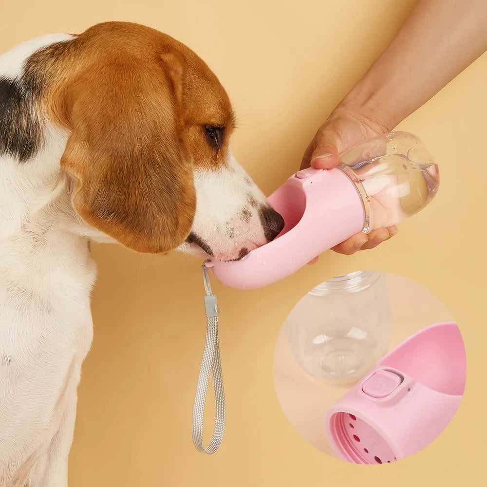 Water bottle for dogs and cats