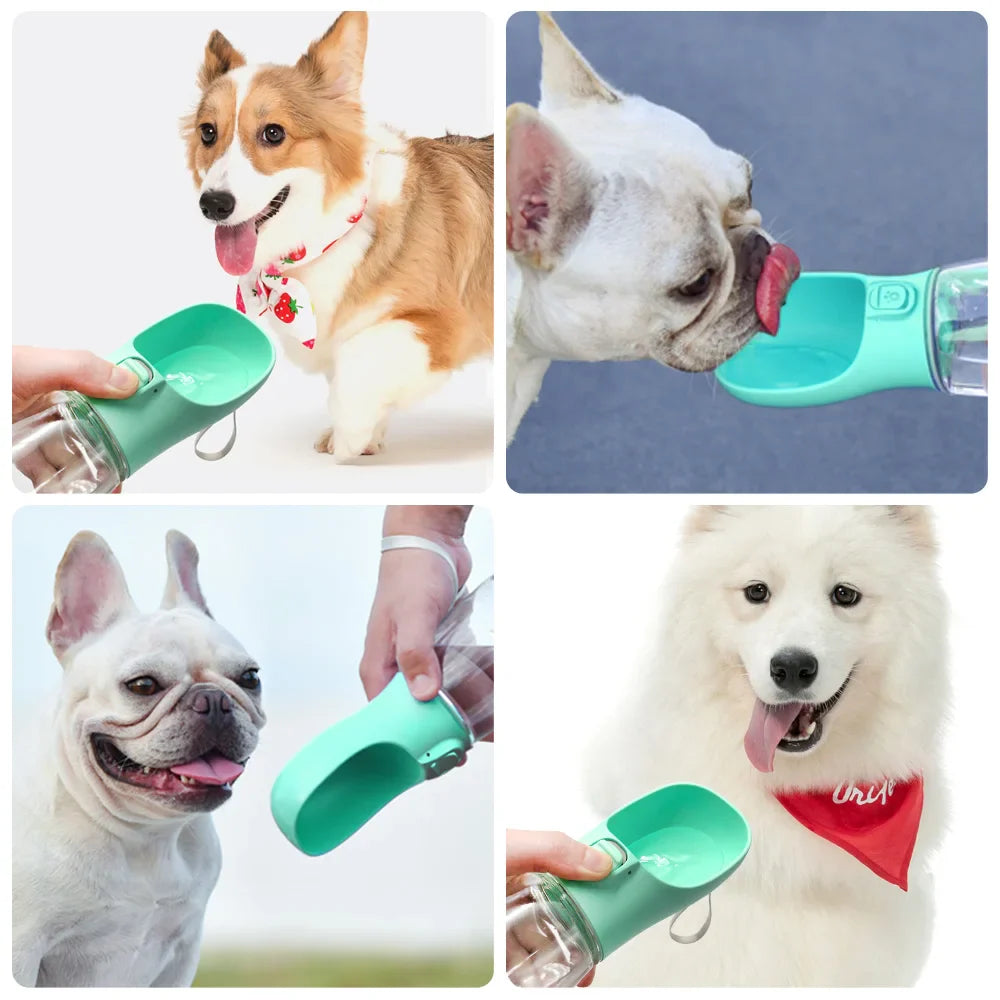 Water bottle for dogs and cats