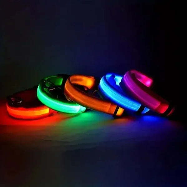 Dog Collar Nylon LED Night Safety