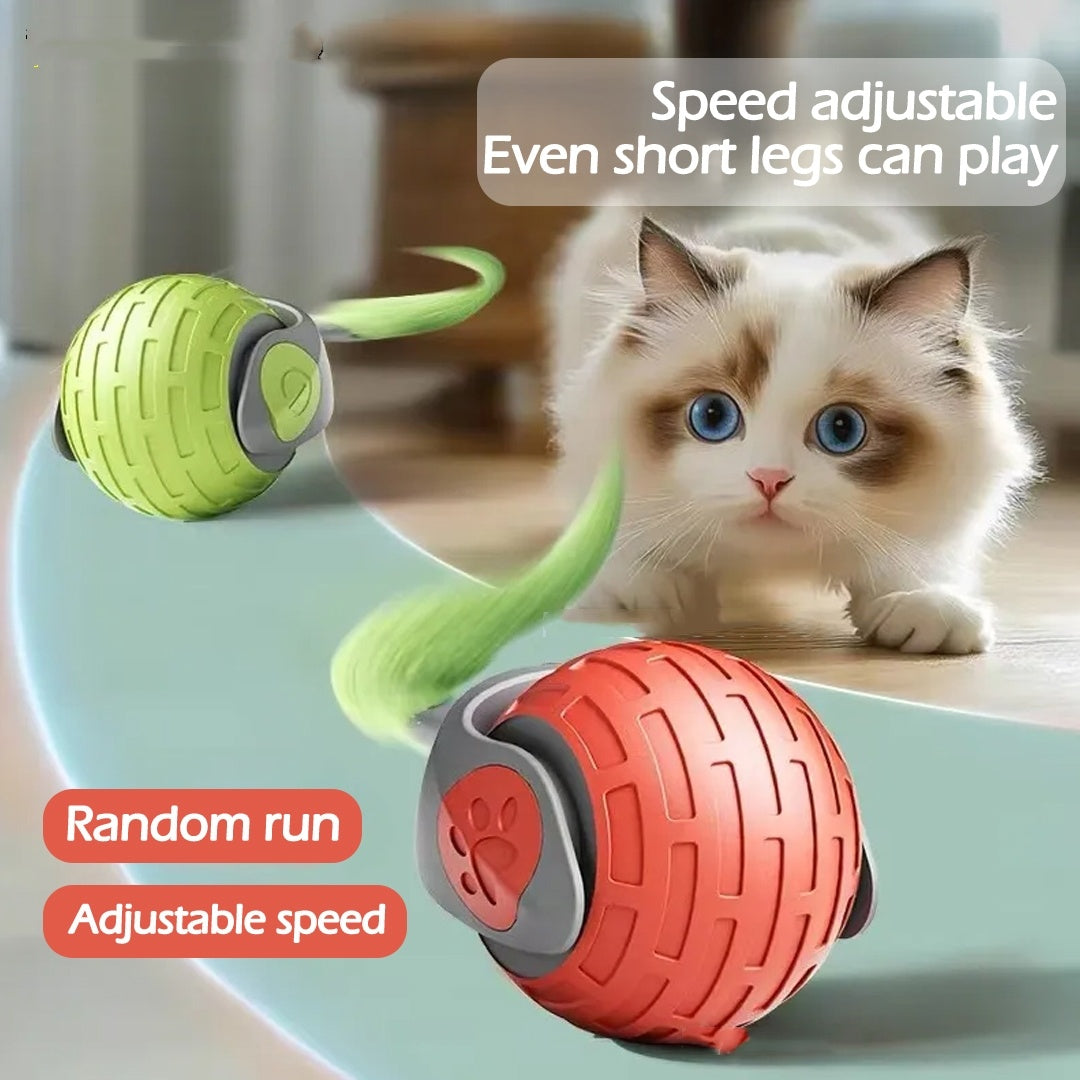 Interactive Electric Cat Toy Ball