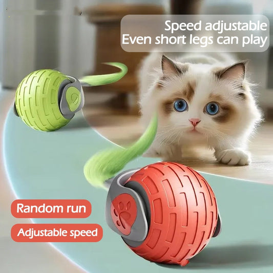 Interactive Electric Cat Toy Ball