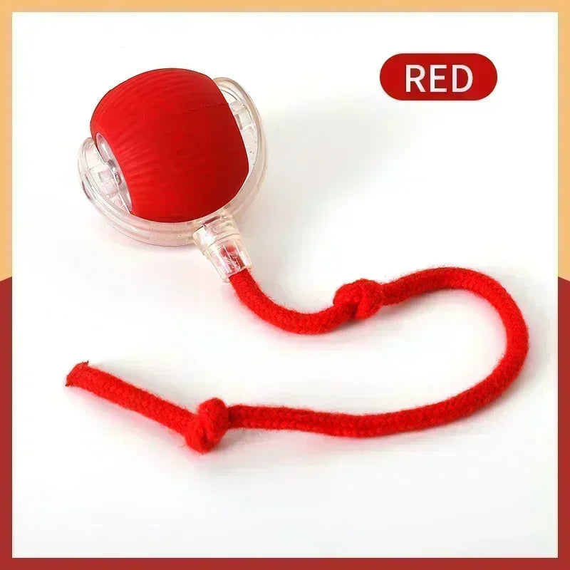 Interactive Electric Cat Toy Ball