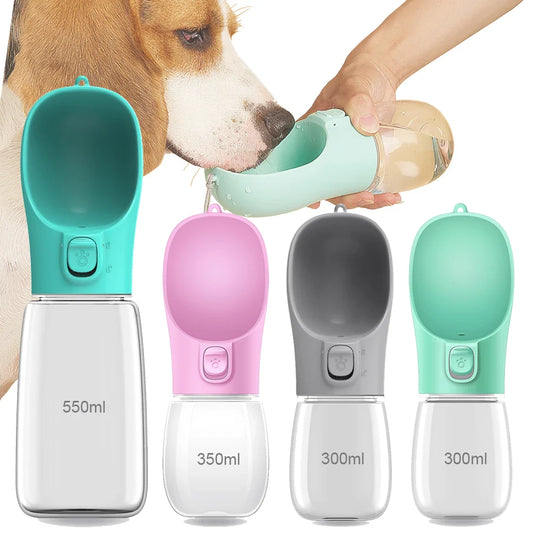 Water bottle for dogs and cats